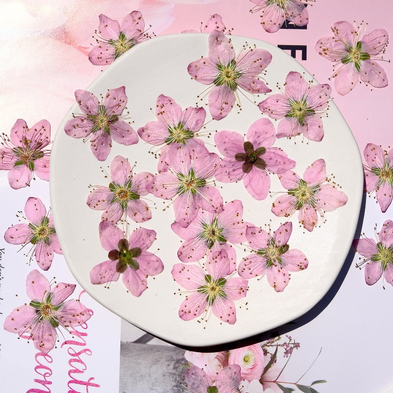 ดอกไม้แห้งกดอัดสีชมพูพีช ขนาด  - Dried Flower Bookmark บทวิจารณ์และราคา