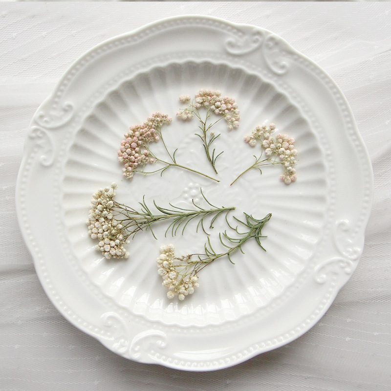 12 ชิ้น กิ่งดอกไม้ธรรมชาติ กิ่ - Dried Flower Bookmark บทวิจารณ์และราคา