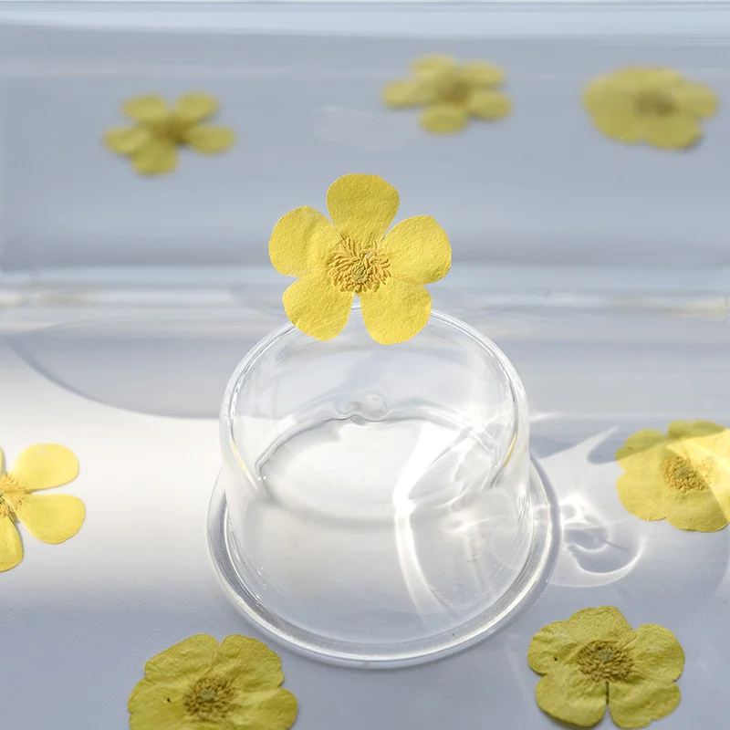 ดอกไม้แห้งแรนันคูลัส 100 ชิ้น  - Dried Flower Bookmark บทวิจารณ์และราคา